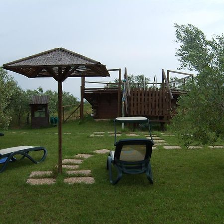Agriturismo Il Forasacco Γκροσέτο Εξωτερικό φωτογραφία