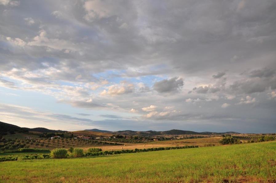 Agriturismo Il Forasacco Γκροσέτο Εξωτερικό φωτογραφία