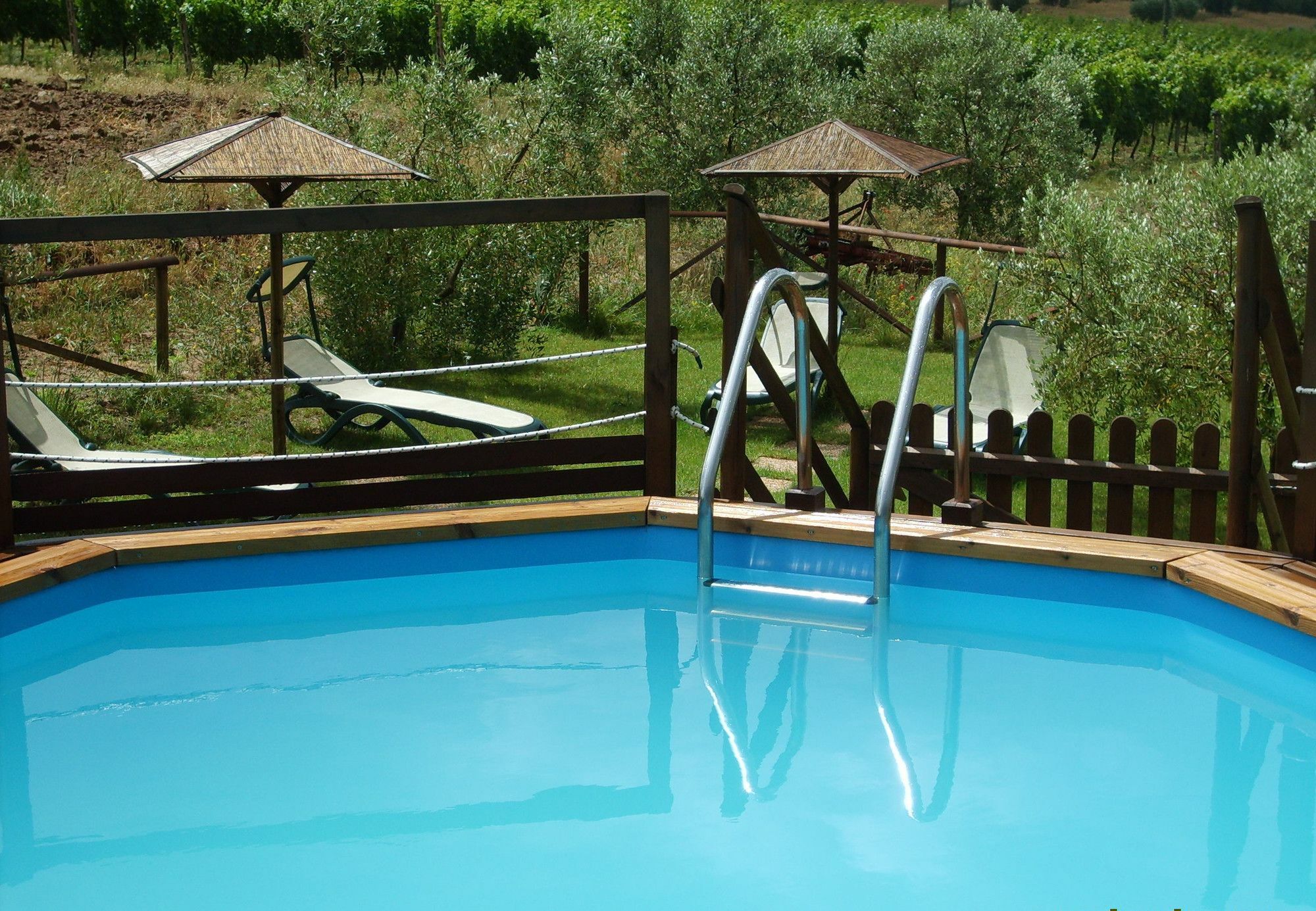 Agriturismo Il Forasacco Γκροσέτο Εξωτερικό φωτογραφία